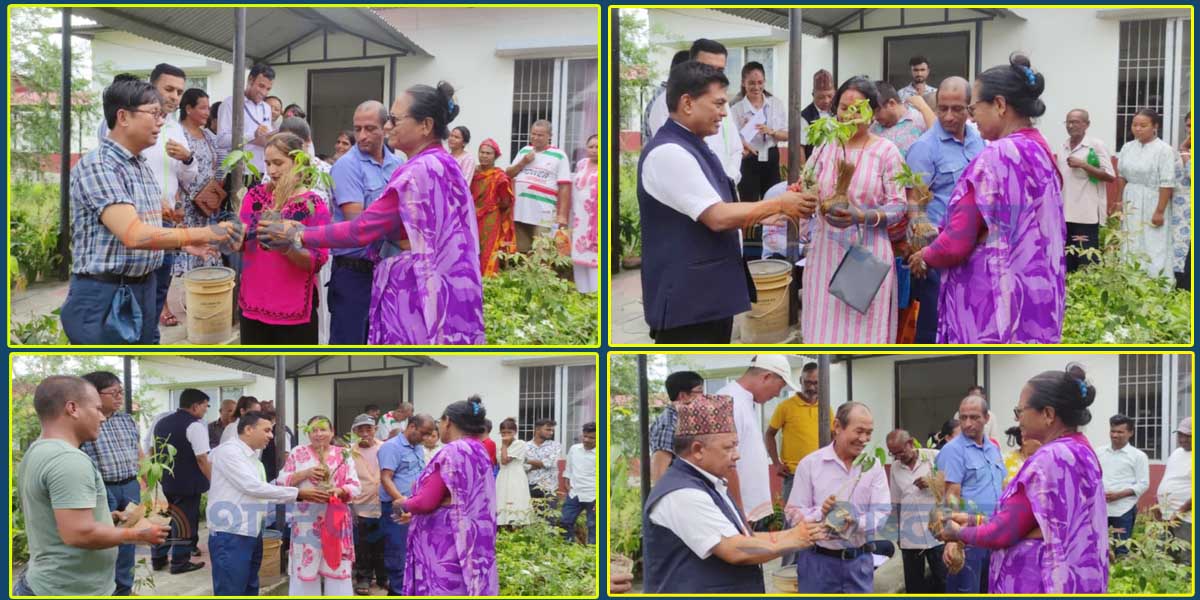 हल्दीबारीमा निःशुल्क आँप र लिचीका विरुवा वितरण हुँदै  (भिडियोसहित) 