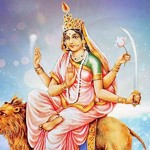  नवरात्रको पाँचौँ दिन स्कन्दमाताको पूजा–आराधना गरी मनाइँदै 