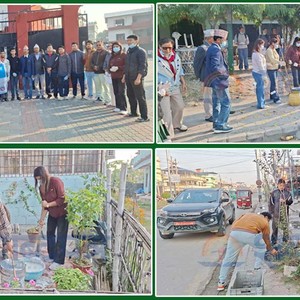 अन्तरराष्ट्रिय स्वयंसेवक दिवसमा बिर्ताबजार सडक आसपासका बोटबिरुवामा रंगरोगन (भिडियोसहित) अन्तरराष्ट्रिय स्वयंसेवक दिवसमा बिर्ताबजार सडक आसपासका बोटबिरुवामा रंगरोगन (भिडियोसहित)