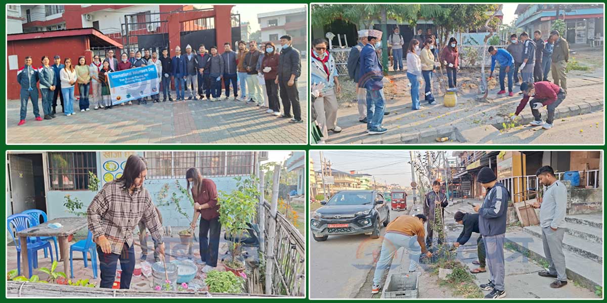 अन्तरराष्ट्रिय स्वयंसेवक दिवसमा बिर्ताबजार सडक आसपासका बोटबिरुवामा रंगरोगन (भिडियोसहित) 