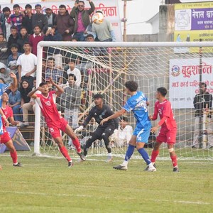 झापा ११ झापा गोल्डकपको क्वार्टर फाइनलमा