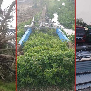 हावाहुरीका कारण झापामा धेरै क्षति