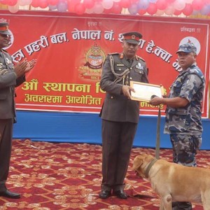 उत्कृष्ट कार्यसम्पादन गर्ने सशस्त्र प्रहरी बरिष्ठ हवल्दार रूपक न्यौपानेलाई प्रशंसा–पत्रसहित सम्मान उत्कृष्ट कार्यसम्पादन गर्ने सशस्त्र प्रहरी बरिष्ठ हवल्दार रूपक न्यौपानेलाई प्रशंसा–पत्रसहित सम्मान